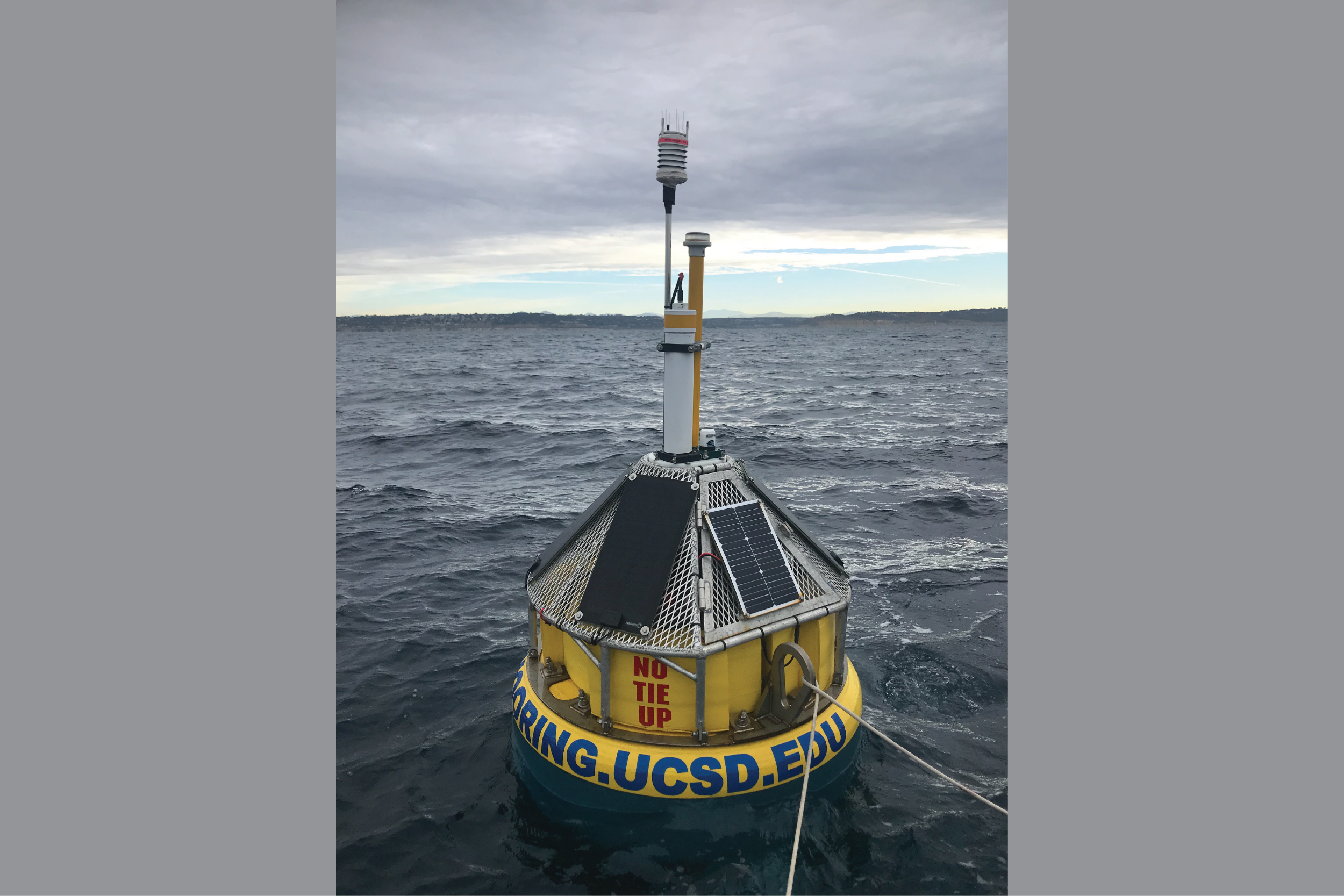 The Del Mar mooring in 2019, with a smaller, more efficient buoy design